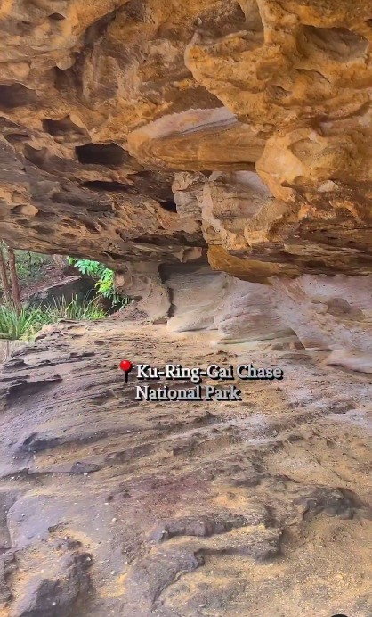 Ku-Ring-Gai Chase National Park